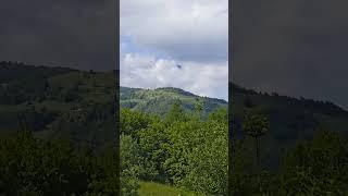 карпати#краса #nature #природа