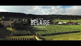 Luc Belaire: The Art of Winemaking