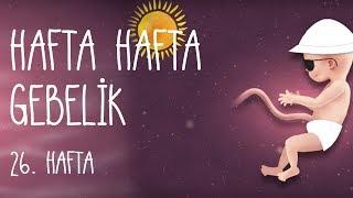 Hafta Hafta Gebelik 26. hafta