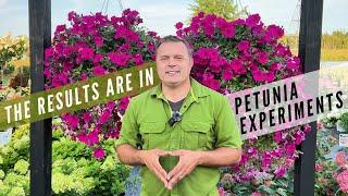 I’ve been running some petunia experiments