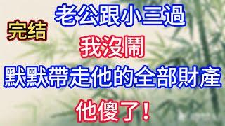 【完結】老公跟小三過，我沒鬧，默默帶走他的全部財產，他傻了！