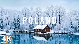 Winter in Poland 4K - Captivating Winter Beauty of Tatra Mountains and Bialowieza Forest