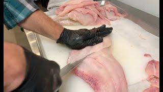 How to Cook Blue Catfish 1