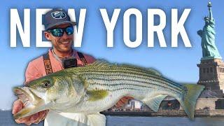 The Forgotten Frontier of Inshore Fishing? Giant Striped Bass & Fluke in New York City!