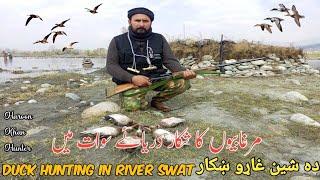 Waterfowl Hunting 2024 |Duck Hunting In Pakistan #animals #birds #sports #duck  #haroonkhanhunter