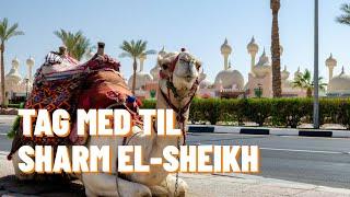 Tag med til Sharm El-Sheikh | Egypten | Destinationsvideo