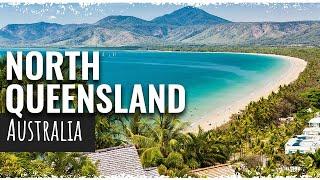 Far North Queensland Travel Vlog - Cairns, Port Douglas, Daintree and more!