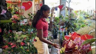 Les fleuristes et horticulteurs ne voient pas la vie en rose à l’approche de la fête des mères