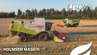 Høsthvetetresking i solnedgang med 2 x CLAAS LEXION hos Holmsen Maskin