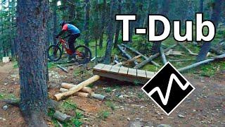 T-Dub [Moose Mountain]