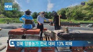[농업뉴스]아까시나무 개화기 꿀 작황 합동조사