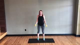 Introduction to Circuit Training- Lateral Raise, Hammer Curl, Crunch, Mountain Climbers