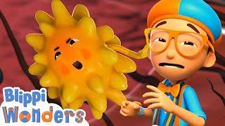 Sneezy Blippi ! | Blippi Wonders Educational Videos for Kids