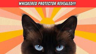 8 EASY TO MISS Signs Your Cat Is Protecting You