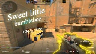 Bumble Bee (CS2 MONTAGE)