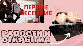Первые ВЕСЕННИЕ радости и открытия!