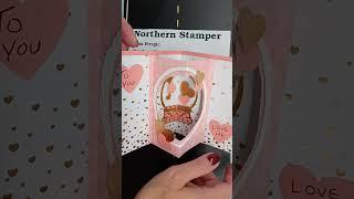 Valentine Idea from Northern Stamper