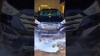 $220 Professional Exterior Detail  #ASMR #Satisfying #Detailing #CarWash #DetailDane