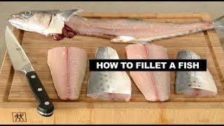 How to Fillet a Fish by Chef Mike Ward