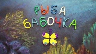 Рыба бабочка. Chaetodon capistratus. Пластилиновый познавательный мультфильм. Plasticine Animation