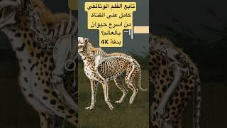 اسرع حيوان على الارض