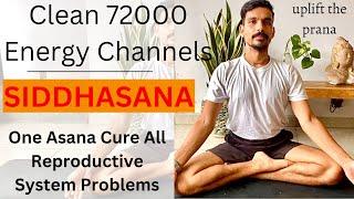 Clean 72000 Nadies With Siddhasana | How To Do Siddhasana | Yoga For Reproductive System