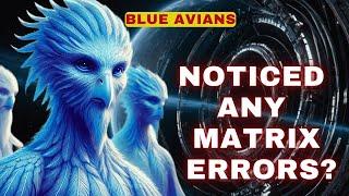 [The Blue Avians] There are errors in the matrix. Do you realize that?