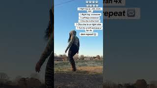 Boots on the Ground Tutorial 🪭🪭🪭 #trailride ##trailriders ##linedance #steppers