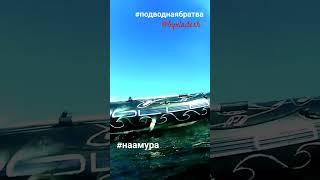#подводнаябратва @Byxladesh #fish #fishing #spearfishing #Volga #diving