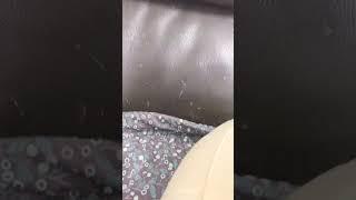 ㅇ홍ㅎㅇㅎㅇㅎㅇㅎㅇㅎ
