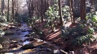 Noontoola Creek
