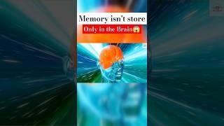 Memory is not store only in the brain #memory #brain