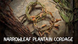 Narrowleaf / Ribwort Plantain Cordage | Cordage from foraged fibres | Ep 2