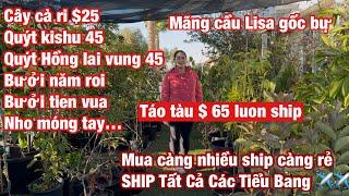 P1/  Mãng Cầu Lisa mới về, nhiều mặt hàng mới