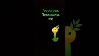 Кто дальше #plantsvszombies