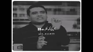 Qaiser Piya | Poetry Status | Whatsapp Status | New Shayari Status