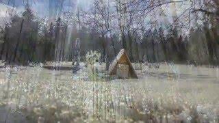 Курсы повышения квалификации по пленэрной живописи в Поведниках