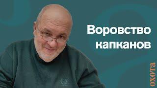 Воровство капканов. Валерий Кузенков о том, как разобраться с вором капкана.