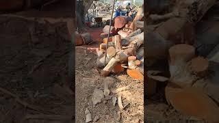 Developing future wood splitting process for system flow; efficiency