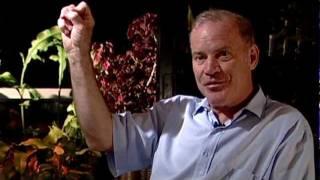 Why I Began Questioning HIV (From the House of Numbers Deluxe Edition DVD)