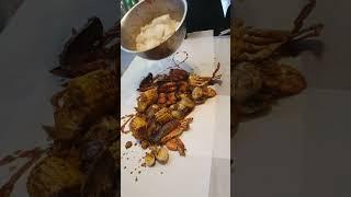 Dampa Seafood Grill Dubai | Best Seafood | #ytshorts #shorts #dubai @VisitDubai