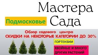 ️Садовый центр МАСТЕРА САДА. Октябрь. Хвойные, гортензии, клематисы и другие растения