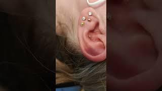 Conch Piercing by Jabba! using 18ct Gold Attachment with WCZ Crystal @Get-Pierced in Carlisle
