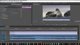 Создать бегущую строку в Premiere Pro