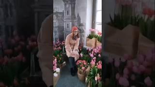 Время быть на высоте ️