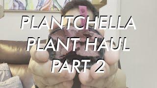 Plantchella Haul 2 - Check our  Proudly Pinoy Plant Creations by Savanah Lamsen and Merbs Pedro!