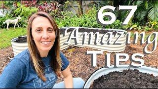 PRO TIPS to start Your Dream Vegetable Garden!