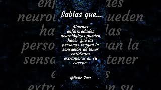 Sabias que? PT:6 #basicfact #basicfacts #creativo #curiosidadesdelmundo a