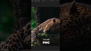 How to Reduce the File Size in Photoshop |  #photoshopforbeginners #photoshop