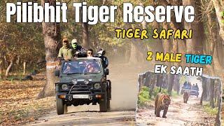 Pilibhit Tiger Safari | 2 Male Tiger Mile Ek Safari Mein Kill Ke Saath | Jungle Safari